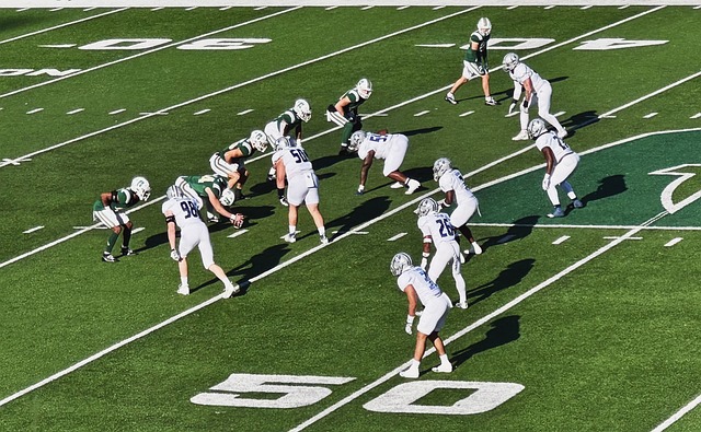 约基奇凭借 约基奇凭借