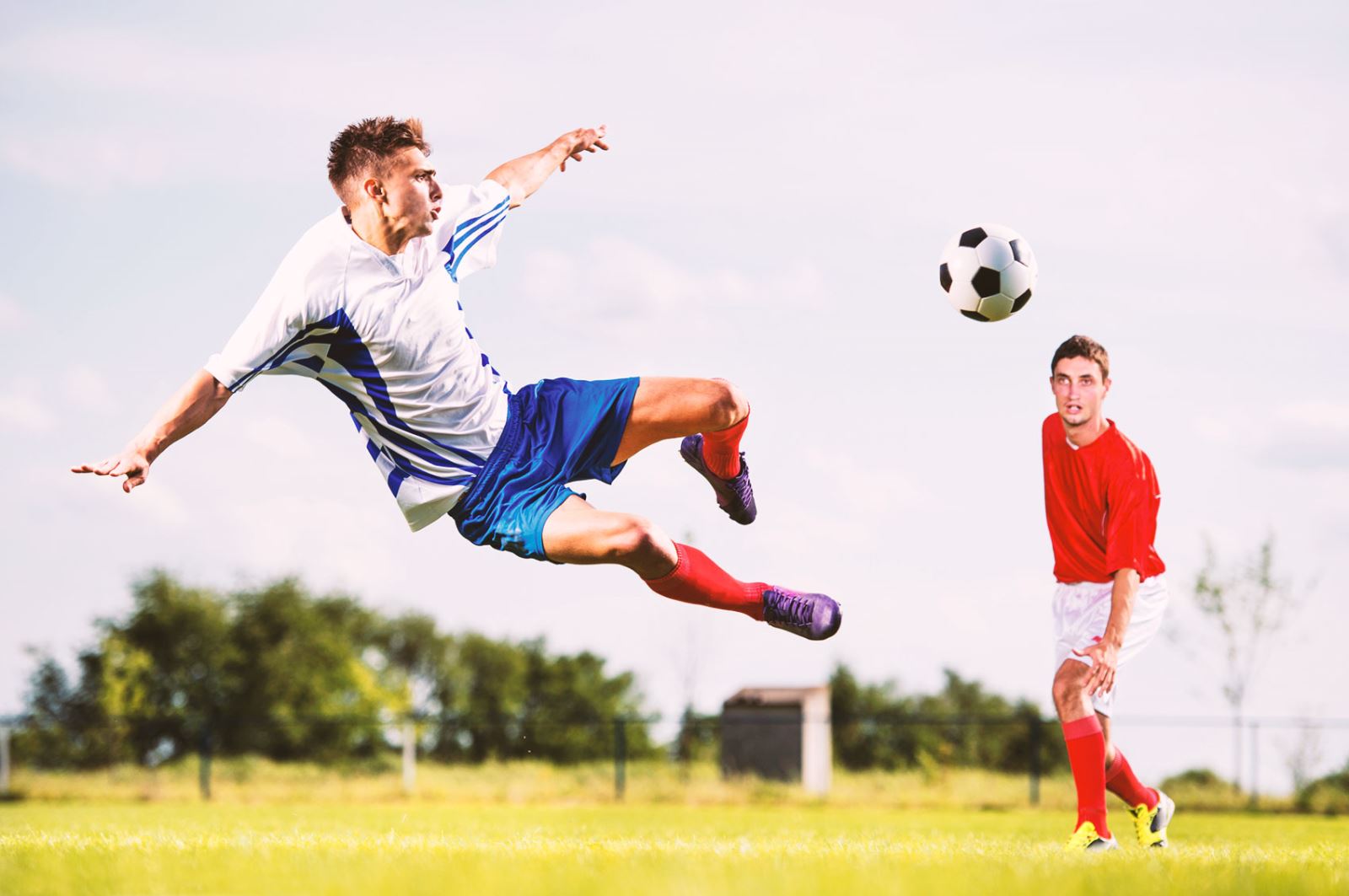 自律和职业 自律和职业